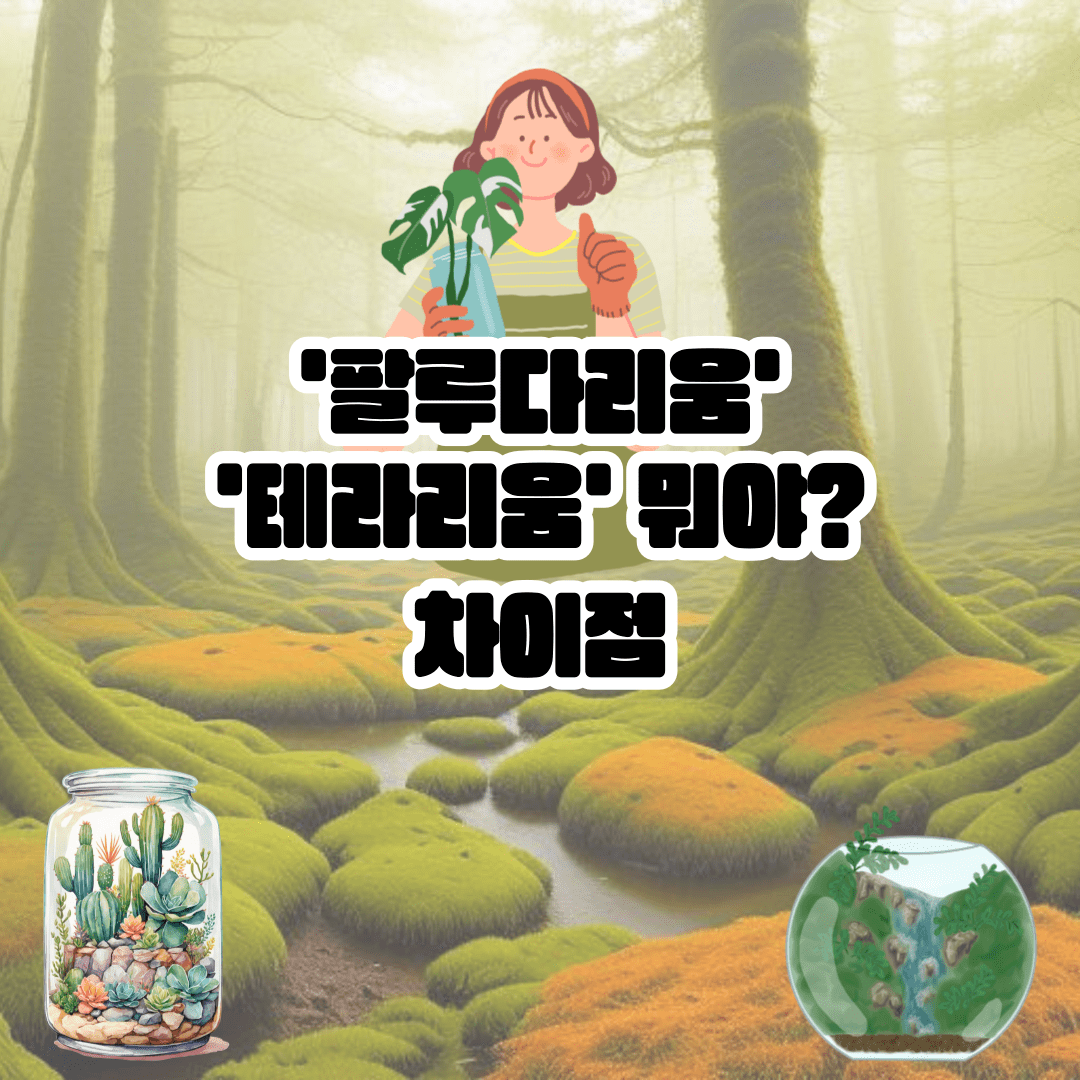 팔루다리움, 테라리움