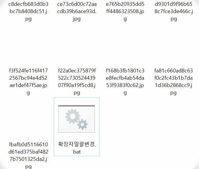 확장자 한꺼번에 바꾸기 (프로그램 필요 없이 일괄변경) 이미지 4