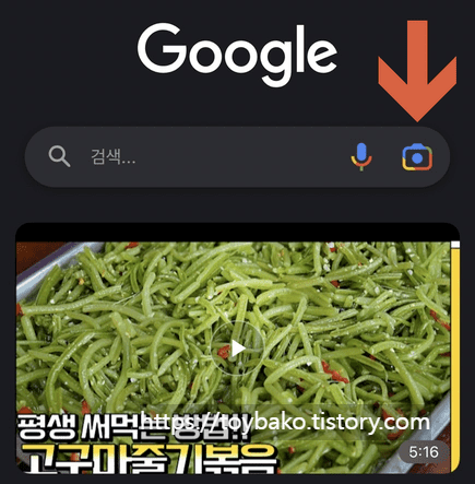 아이폰에서 구글렌즈 사용하기 *(사용방법, 새로운 기능) 썸네일